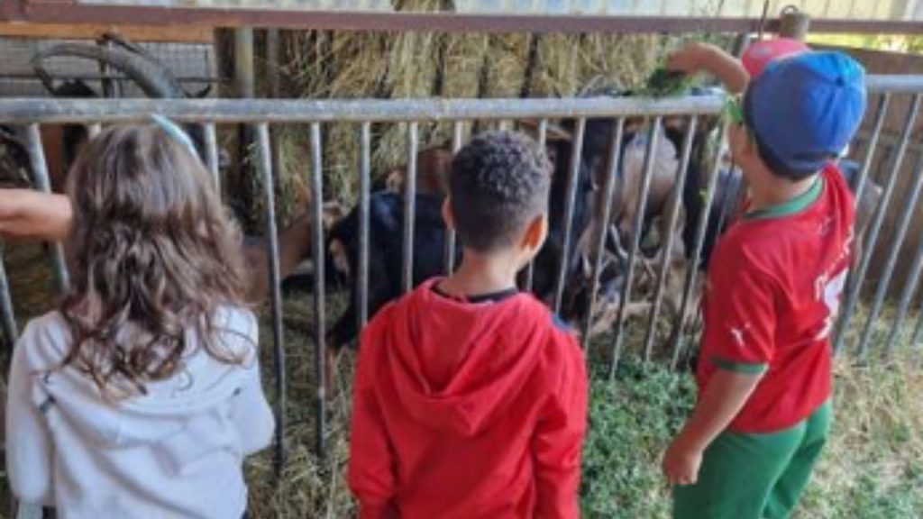 ÉVASION FERME DE CHAVANNES