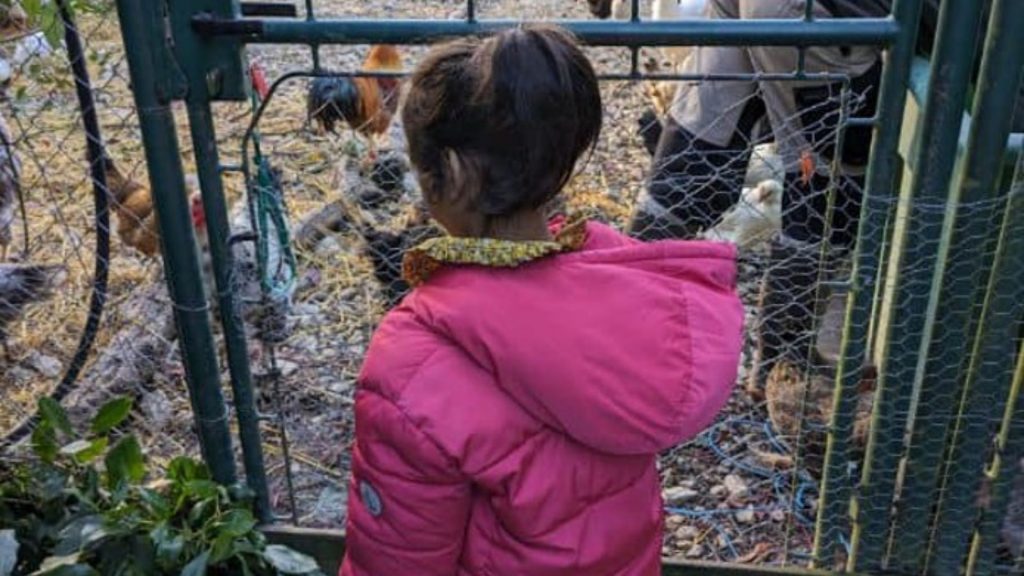 ÉVASION EMY EN DOMBES