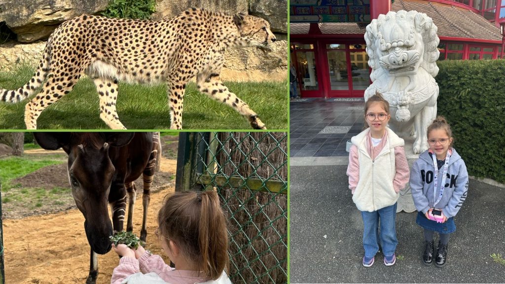 3 JOURS POUR ANDREA AU ZOO BONNEVAL