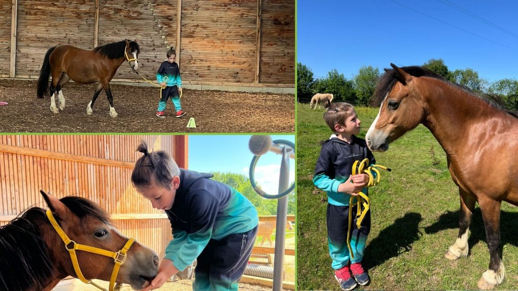 EQUITHÉRAPIE À BENY - ARTHUR